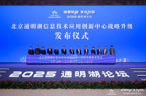 2025通明湖論壇在北京亦莊開幕 聚焦信息技術(shù)產(chǎn)業(yè)升級，共繪高質(zhì)量發(fā)展新藍(lán)圖