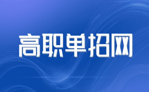 2025年北京信息職業(yè)技術(shù)學(xué)院高職自主招生簡章